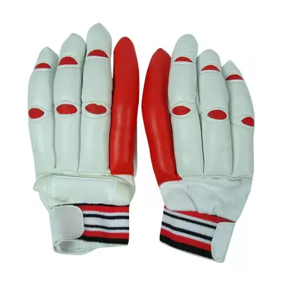 Batting Gloves