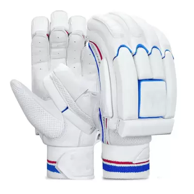 Cricket Gloves