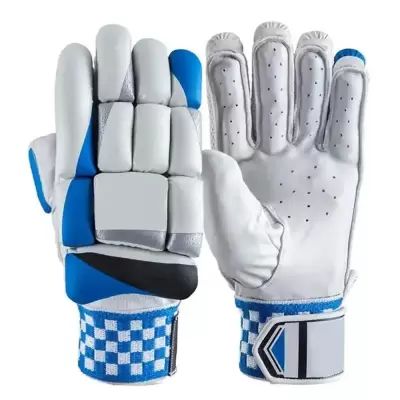 Cricket Gloves