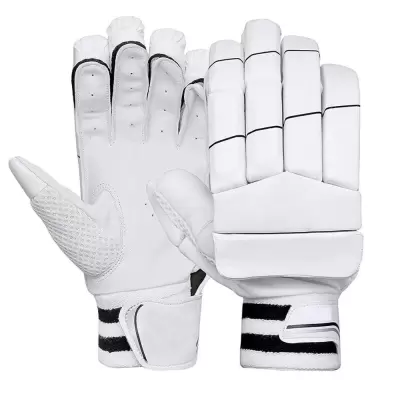 Cricket Gloves