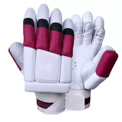 Cricket Gloves
